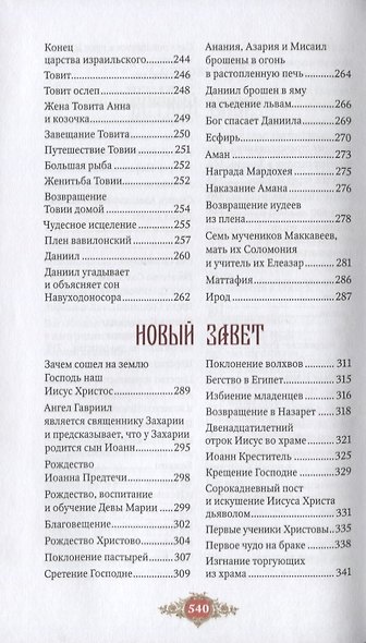 Библия для детей. Священная история Ветхого и Нового Заветов в простых рассказах для чтения в школе - фото 4
