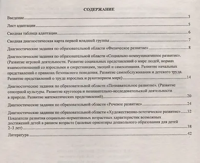 Комплексная оценка достижений детей 3 лет на основе концепции программы "Детство" - фото 2