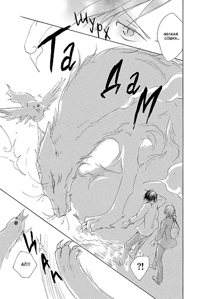 Тетрадь дружбы Нацумэ. Том 9 (Natsume's Book of Friends). Манга - фото 4