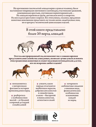 Лошади. Иллюстрированный гид по самым популярным породам - фото 2