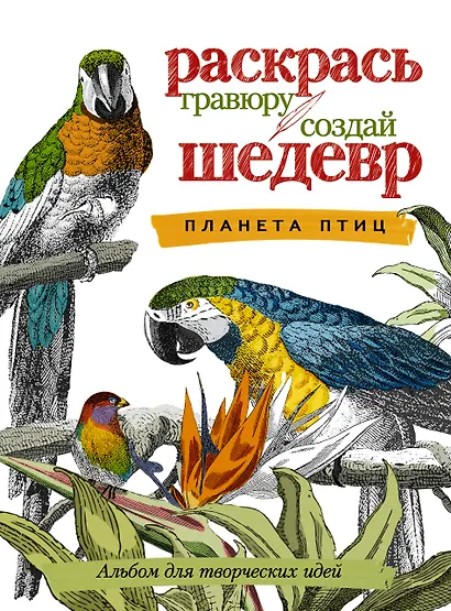 Планета птиц - фото 1