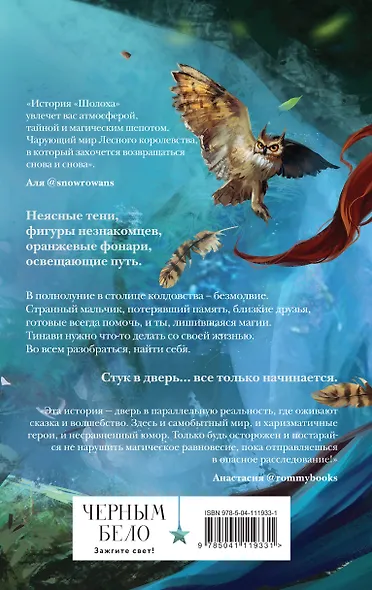 Шолох. Теневые блики - фото 2