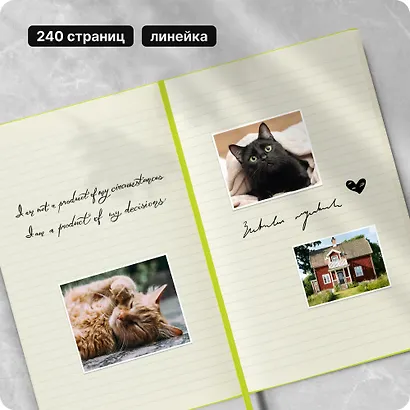 Книга для записей А5, 120 листов в линейку "Classic Large", твердая обложка, лаймовый, резинка, ляссе, Moleskine - фото 10