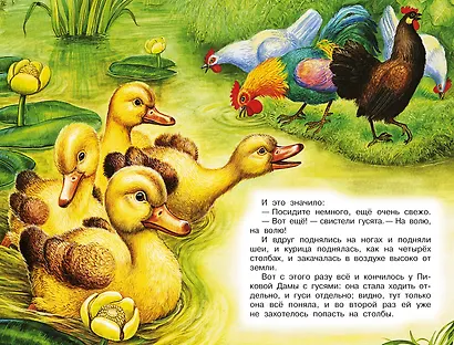 Рассказы о природе - фото 12