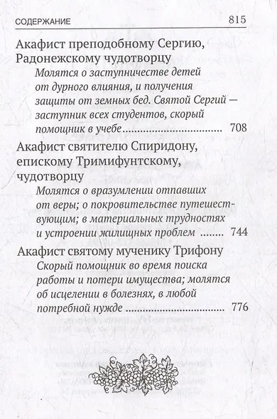 Акафисты, читаемые в болезнях, скорбях и особых нуждах - фото 8