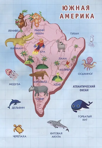 Атлас животных для  малышей - фото 3