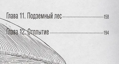 Путешествие к центру земли. Том 2. Манга по роману Жюля Верна - фото 3