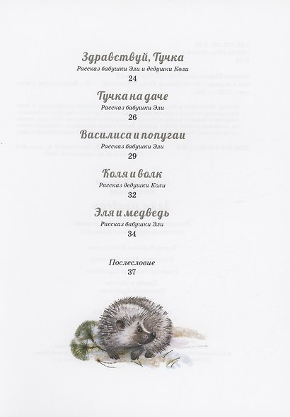 Эля и Медведь - фото 3