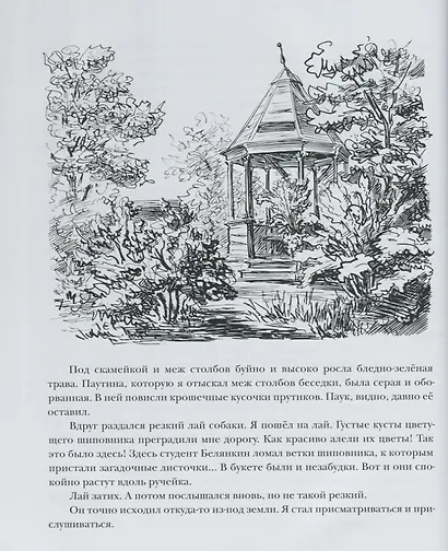 В Стране Дремучих Трав - фото 10