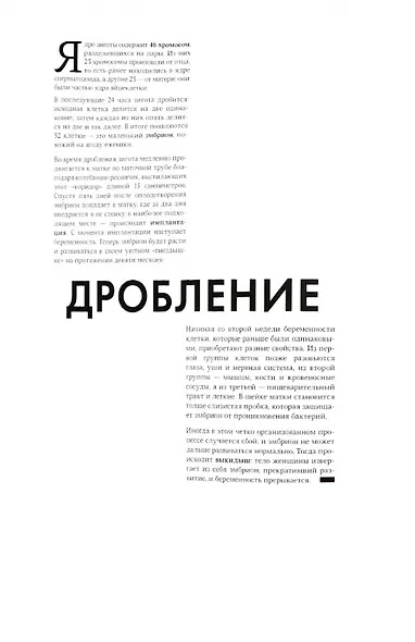 Рождение. Интерактивный атлас с клапанами и резными иллюстрациями - фото 4