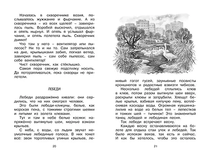 Лесные тайнички - фото 5