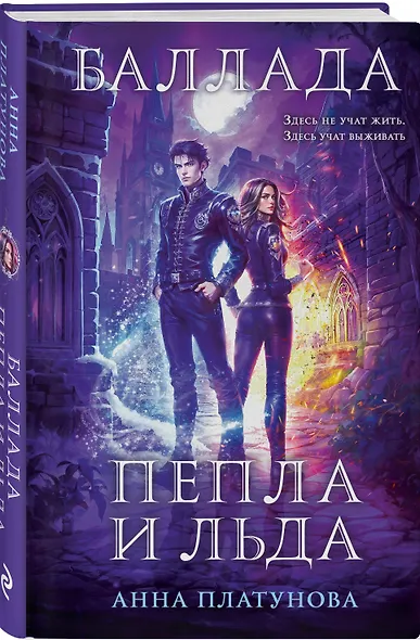 Баллада Пепла и Льда - фото 3