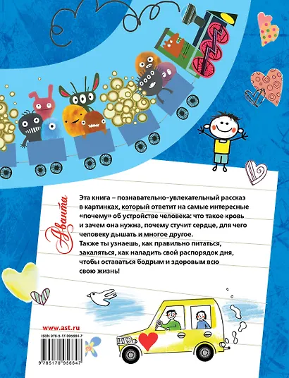 Как устроен человек? - фото 2