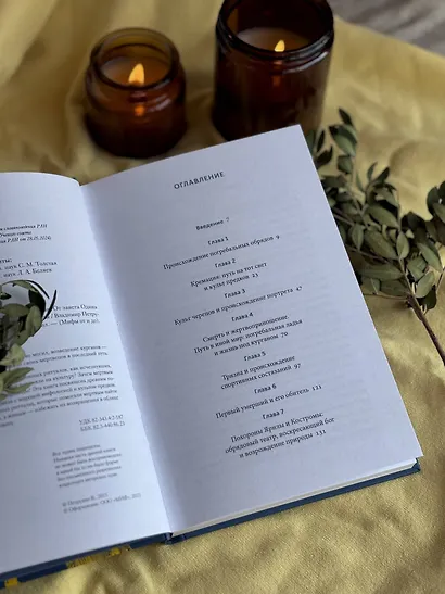 Погребальные обряды и культ предков. От завета Одина и некромантии до упырей и похорон Ярилы - фото 13