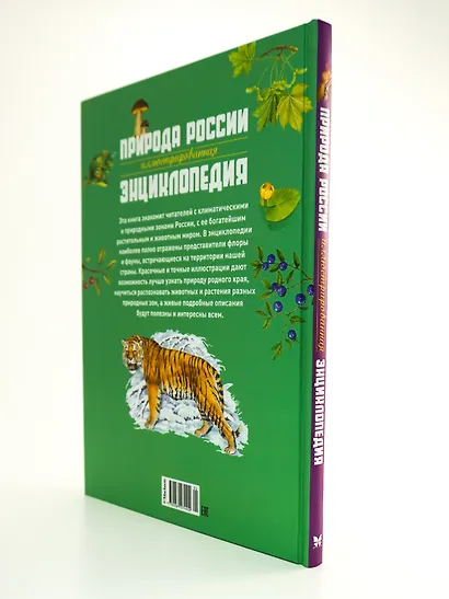 Природа России. Иллюстрированная энциклопедия - фото 7