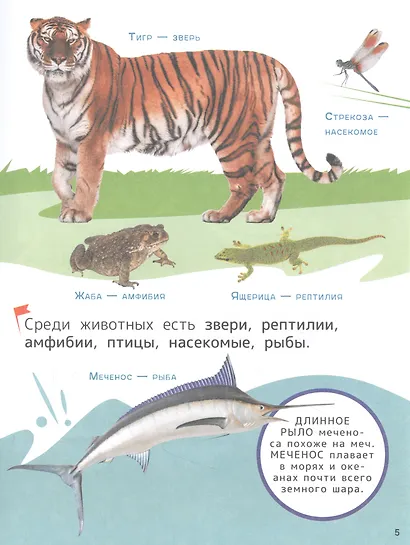 Животные. Энциклопедия для первого чтения с крупными буквами - фото 4