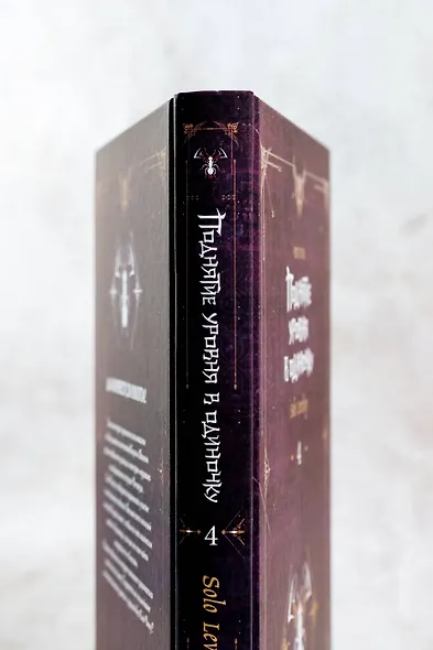 Поднятие уровня в одиночку. Книга 4 (Solo Leveling). Новелла - фото 7