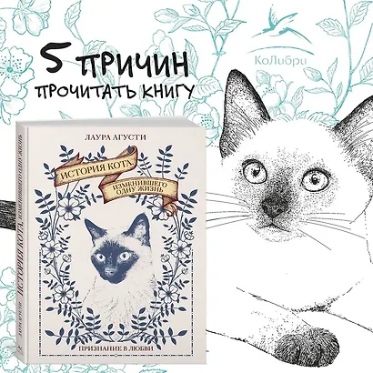 История кота, изменившего одну жизнь. Признание в любви - фото 4