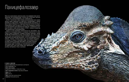 Динозавры. Профили затерянного мира. Энциклопедия - фото 7