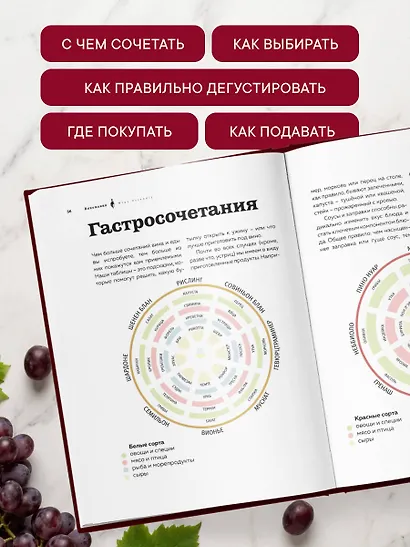 Виномания. Наглядный путеводитель по винному миру - фото 7