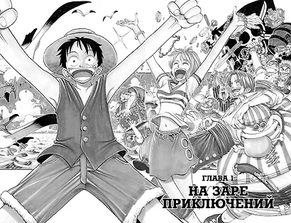One Piece. Большой куш. Книга 1 - фото 12