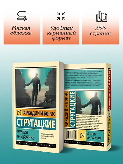 Пикник на обочине - фото 4