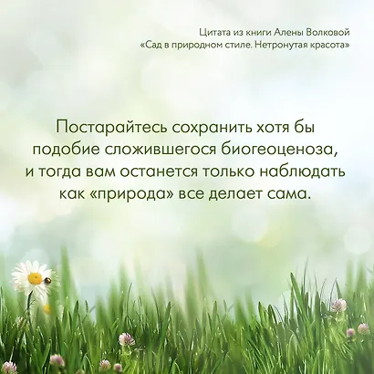 Сад в природном стиле. Нетронутая красота - фото 10