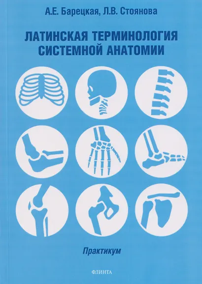 Латинская терминология системной анатомии: практикум - фото 1