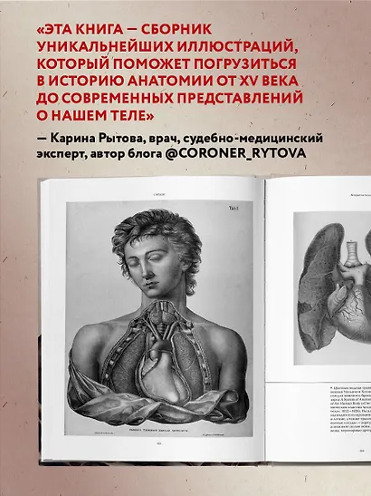 Анатомика. От ужасного до великого: человеческое тело в искусстве - фото 6