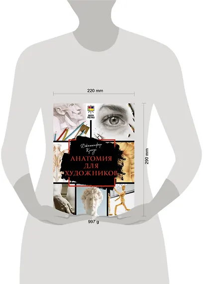 Анатомия для художников - фото 5