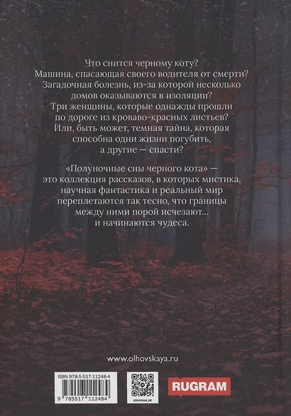 Полуночные сны черного кота - фото 2