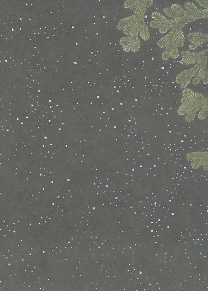 Истории про маленького Мышонка. Ура! Мы едем в лес! - фото 4