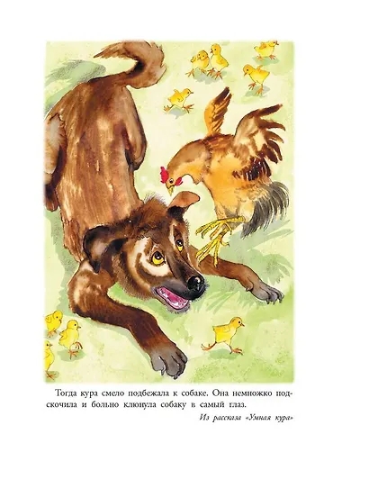 Великие путешественники. Рассказы про детей - фото 6