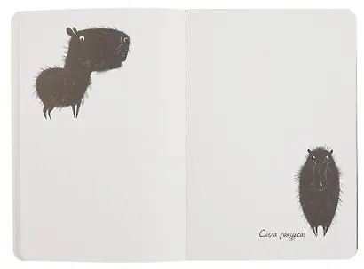 Скетчбук-перевертыш 165*240 32л "Черным по белому/Белым по черному (капибара)" 120г/м2, мягк.обл, офсет - фото 6