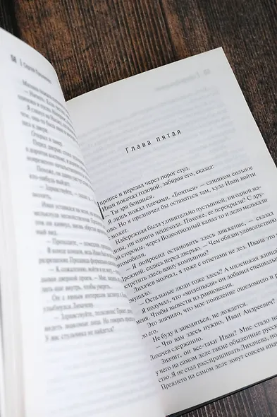 Три дня Индиго - фото 14