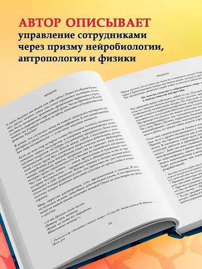 Человеческий капитал. Как с помощью нейробиологии управлять профессиональными командами - фото 5