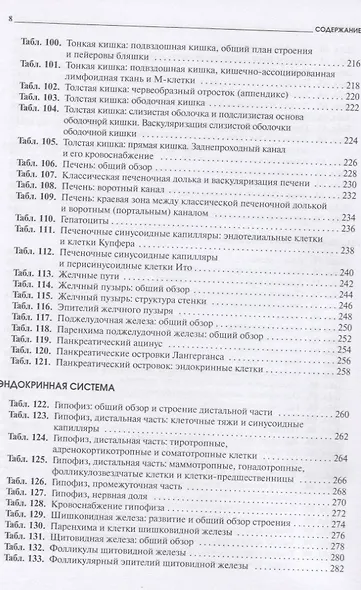 Атлас микроскопической анатомии человека. Учебное пособие для студентов медицинских и биологических специальностей вузов - фото 5