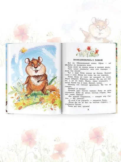 Приключения Хомы и Суслика. Сказки - фото 9