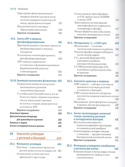 Основы биохимии Ленинджера т.2 - фото 8