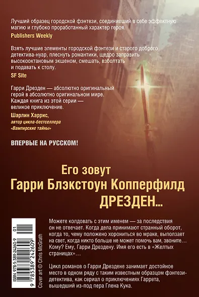 Архивы Дрездена. Поле боя - фото 2