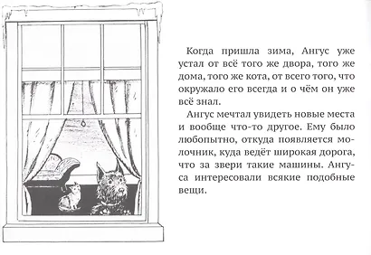 Ангус потерялся - фото 2