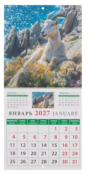 Календарь 2027г 160*170 «Год козы и овцы»настенный, на скрепке - фото 4