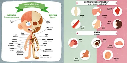 Английский словарь в картинках - фото 5