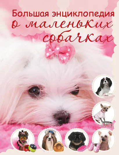 Большая энциклопедия о маленьких собачках - фото 1