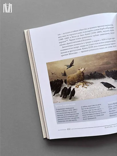 Ворон. Культурная история - фото 13