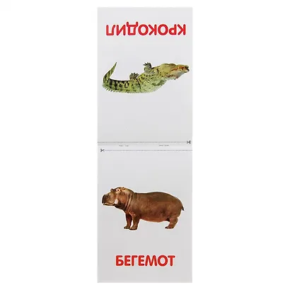 Набор книжек "Обучающие карточки на скрепке" (комплект из 8 книг) - фото 2