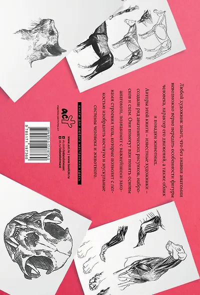 Анатомия для художников. Альбом для скетчинга - фото 2