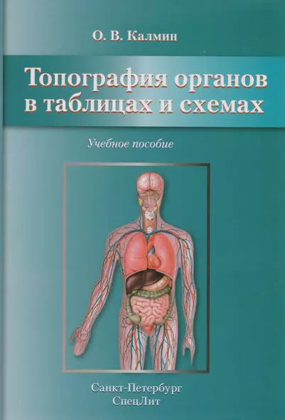 Топография органов в таблицах и схемах: учебное пособие - фото 1