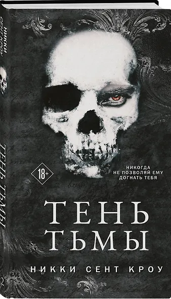 Тень Тьмы - фото 3