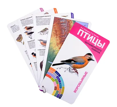 Птицы Черноморского Кавказа. Вобьиные и неворобьиные - фото 2